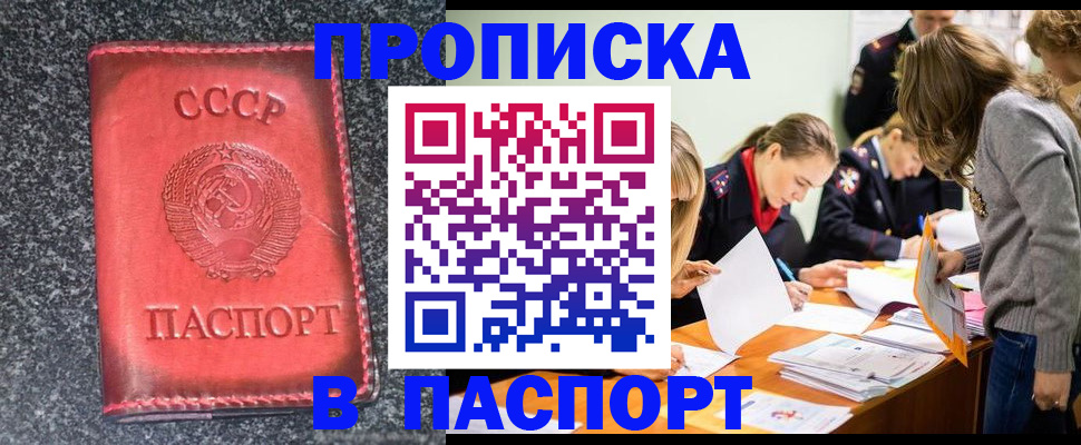 прописка для школы в Отрадном